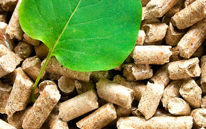 Energija iz biomase – prilika za poljoprivrednike
