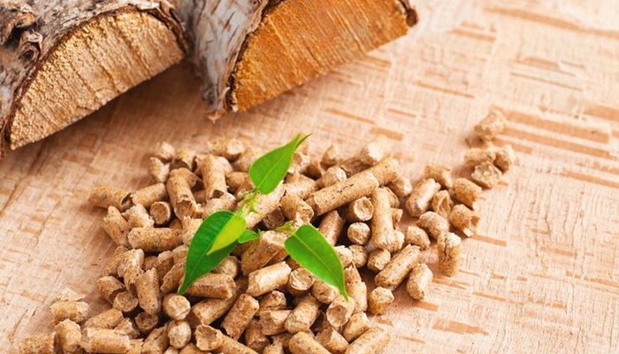 “Biomasa važan energent, ali neće biti lako”