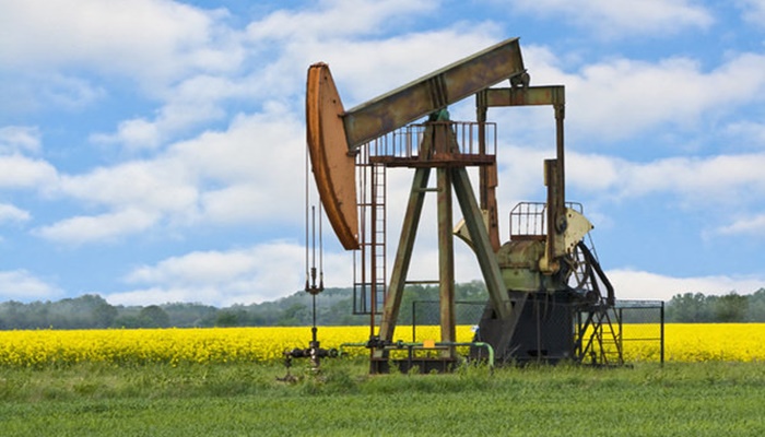Cijene nafte porasle povećavajući ovosedmični dobitak na više od 10 posto