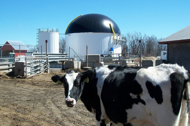 Zbog kvota nema interesa za biogasne elektrane