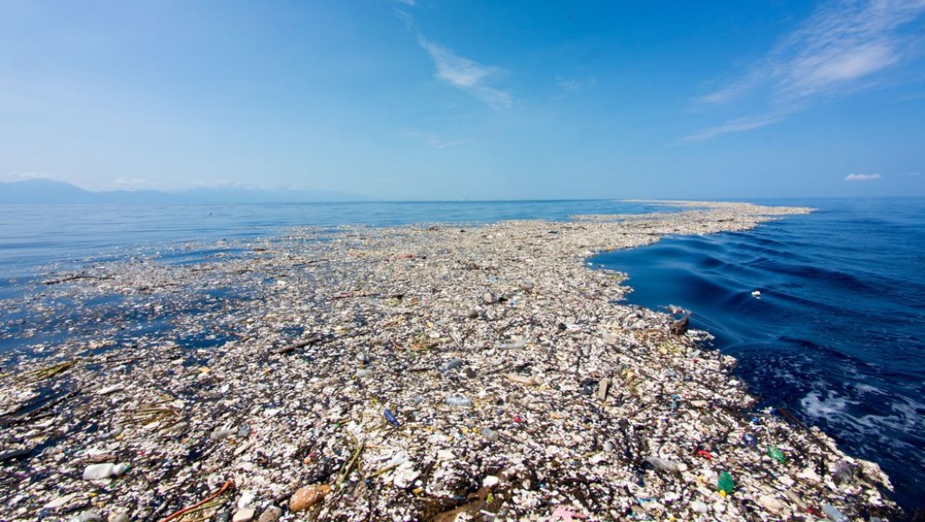 WWF: Sredozemno more u opasnosti da postane more plastike