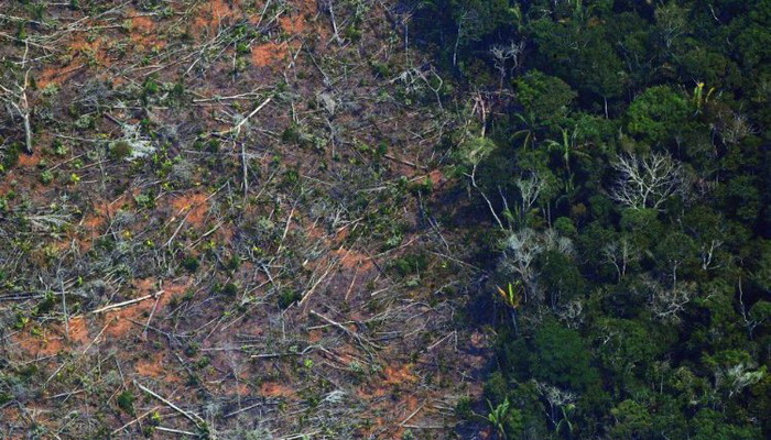 Fondacija Leonarda DiCaprija donirat će 5 miliona dolara za obnovu šuma Amazonije