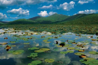 WWF Adria: Potrebno zaštiti vlažna staništa