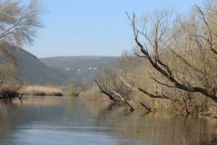 Ekolozi pozivaju da se zaštiti područje bare Tišina