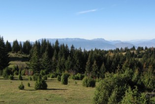 Ekolozi traže da se zaštiti šumsko bogatstvo BiH