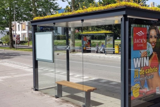 Više od 300 autobuskih stanica u Holandiji pretvoreno u zelenu oazu za pčele