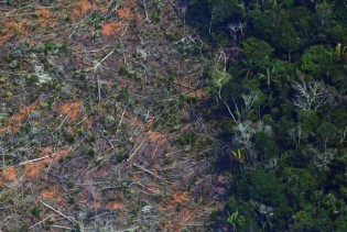 Fondacija Leonarda DiCaprija donirat će 5 miliona dolara za obnovu šuma Amazonije