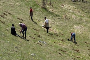 Članovi KUD 'Igman' zasadili 150 sadnica na Igmanu