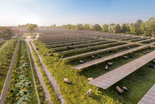 "Wien Energie": Rekordna ekspanzija solarne energije