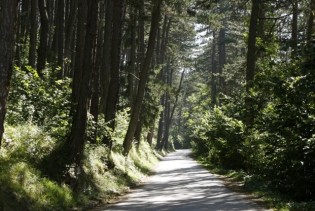 Izgradnja klimatski otporne budućnosti Bosne i Hercegovine