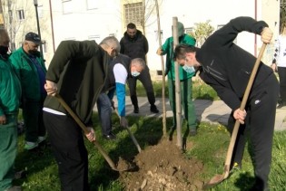 U ekološkoj akciji 'Čista i lijepa Vogošća' zasađeno 1.100 sadnica