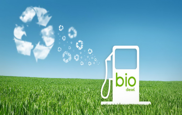 Energetska kriza podstakla proizvodnju biodizela