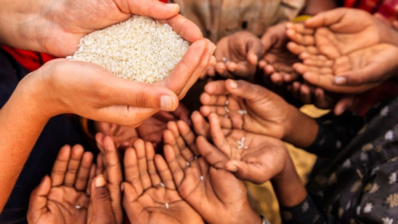 Borba protiv gladi i globalnog zagrijavanja: UN predstavio klimatski plan za hranu