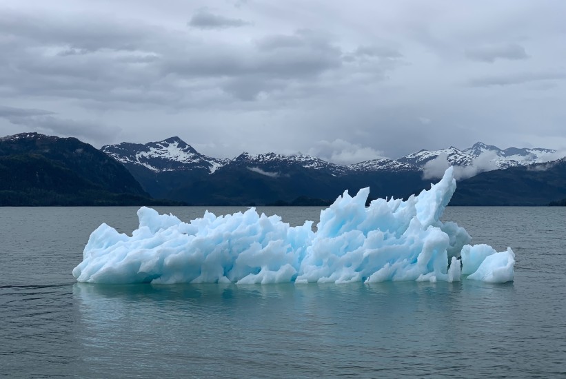 Trumpova pobjeda mogla bi ugroziti borbu protiv klimatskih promjena