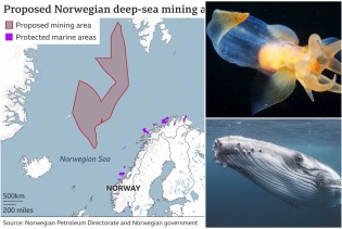 Norveška će prva na svijetu odobriti rudarenje oceanskog dna