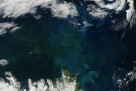 Rekordno zagrijavanje svjetskih oceana: Posljedice, uzroci i budući izazovi