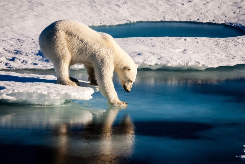 Klimatske promjene prijete opstanku EU