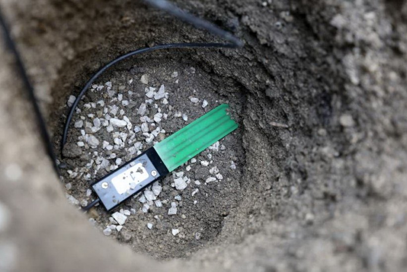 Stabla koja sama kažu kada su žedna: Beč testira nove pametne senzore