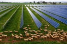 Revolucija iz Australije: Svaka 25. kuća već ima bateriju za struju